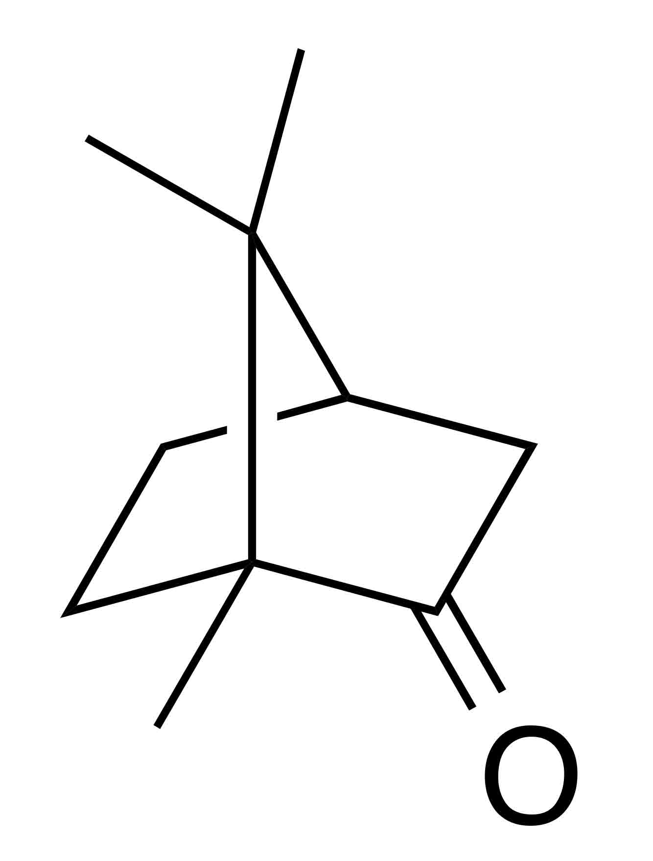 molecular structure of camphor